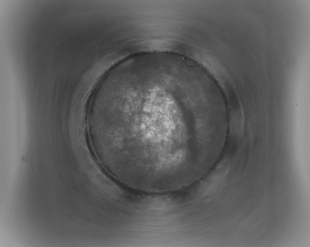 X0000113310673200909281125