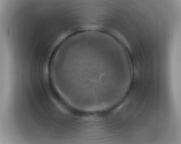 X0000113310674200909281125