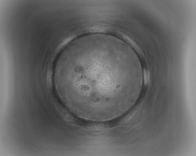 X0000113310675200909281125