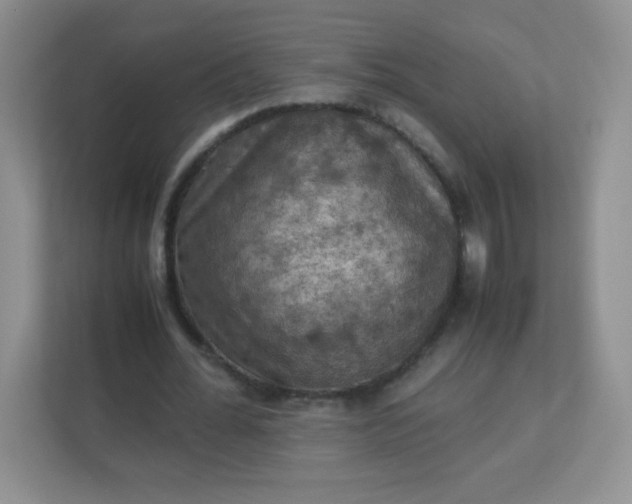 X0000113310676200909281125