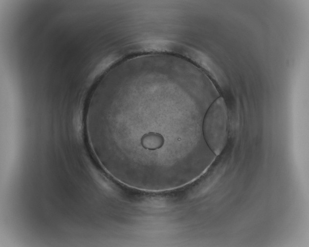 X0000113310677200909281125