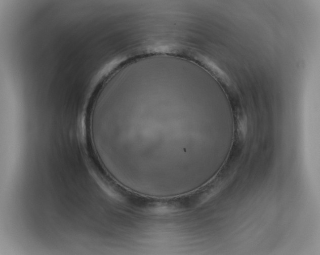 X0000113310678200909281125