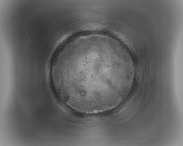 X0000113310679200909281125