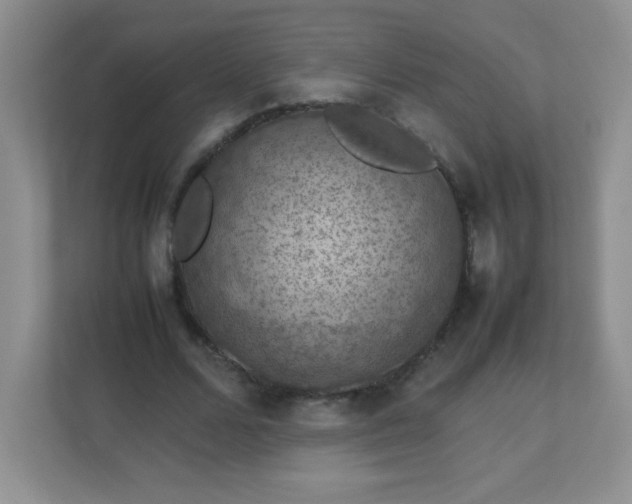 X0000113310680200909281125