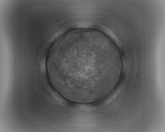 X0000113310681200909281125