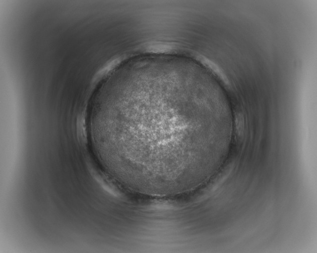 X0000113310682200909281125