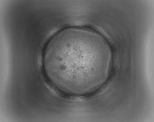 X0000113310683200909281125