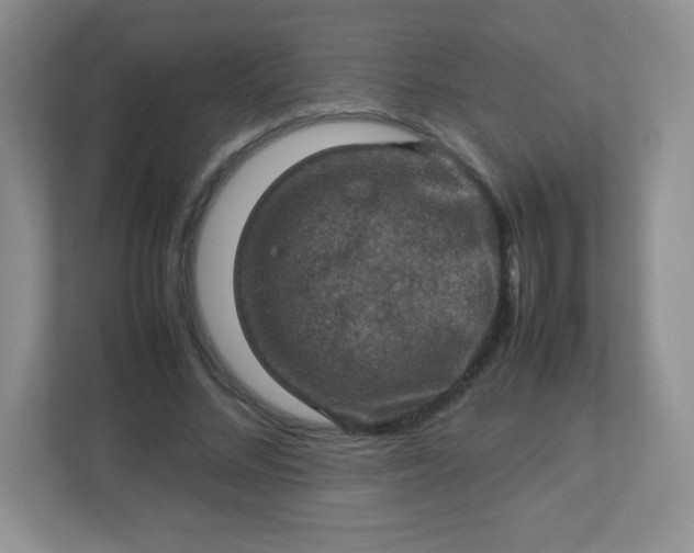 X0000113310684200909281125