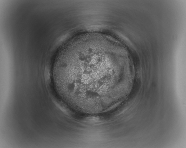 X0000113310687200909281125