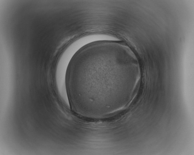 X0000113310688200909281125