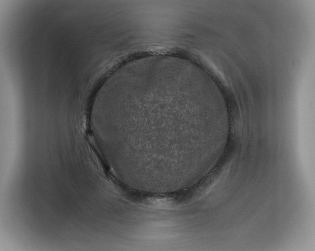 X0000113310689200909281125