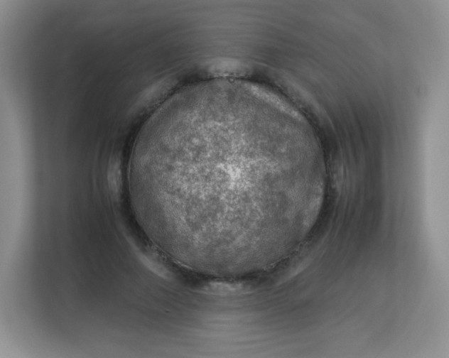 X0000113310690200909281125