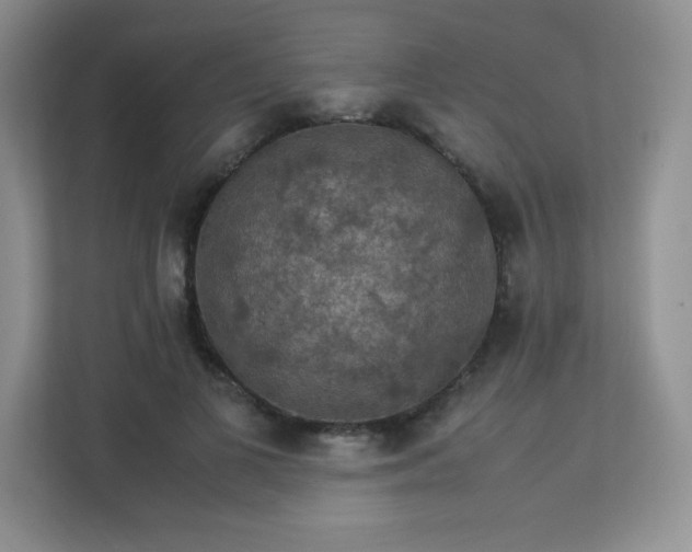 X0000113310693200909281125