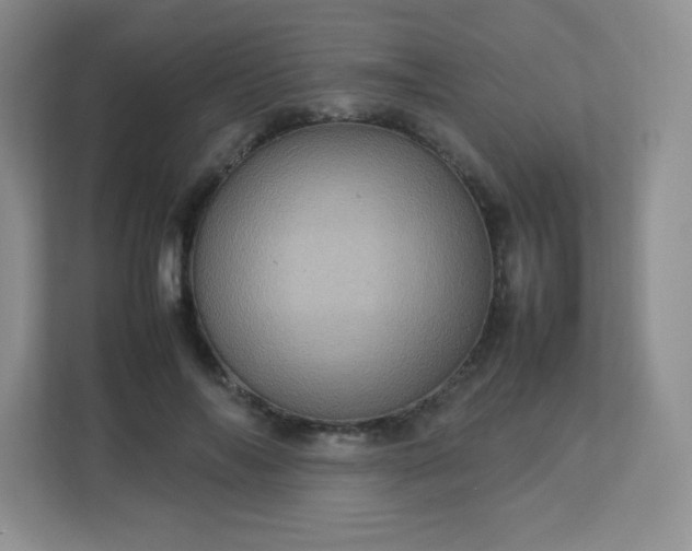 X0000113310694200909281125