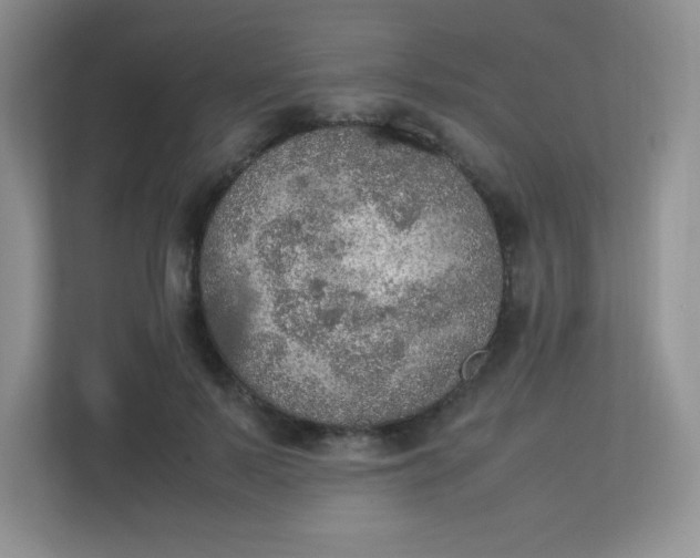 X0000113310695200909281125