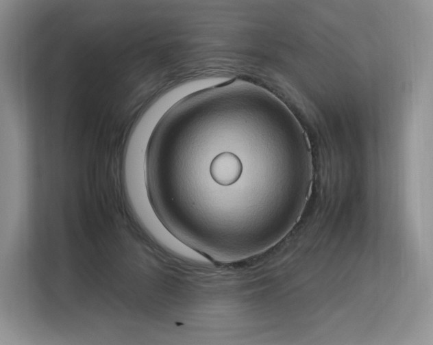 X0000113310696200909281125