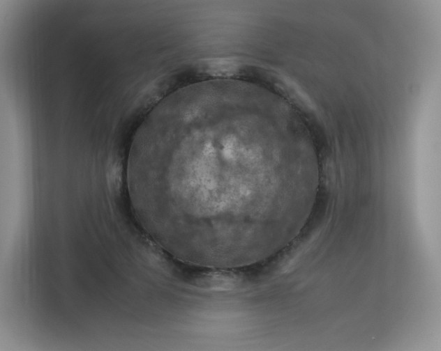 X0000113310697200909281125