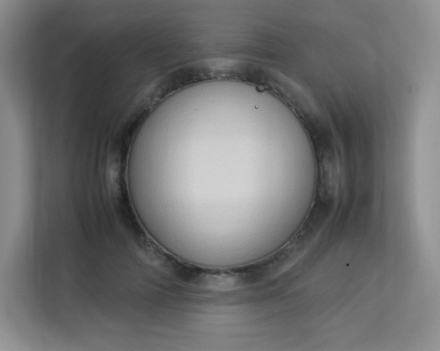 X0000113310698200909281125