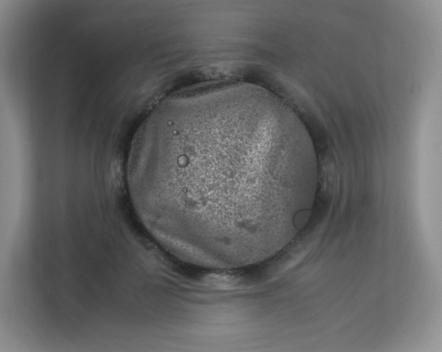 X0000113310699200909281125