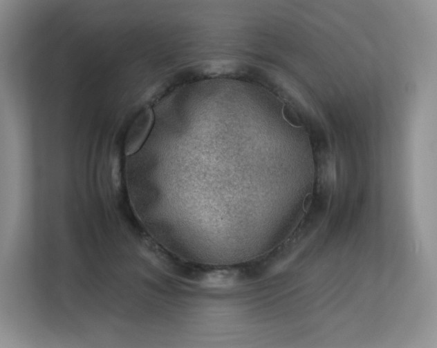 X0000113310700200909281125