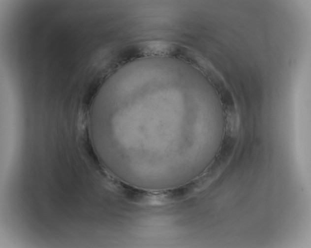 X0000113310701200909281125