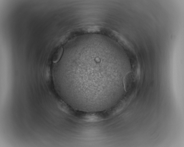 X0000113310704200909281125