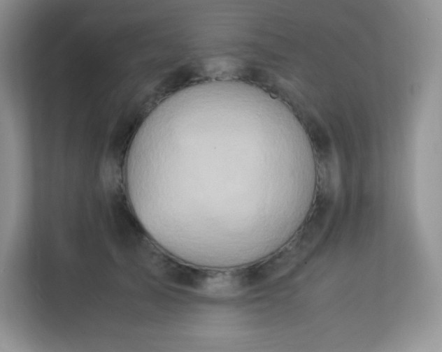 X0000113310705200909281125