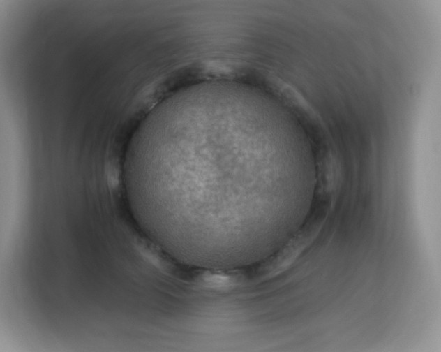 X0000113310706200909281125