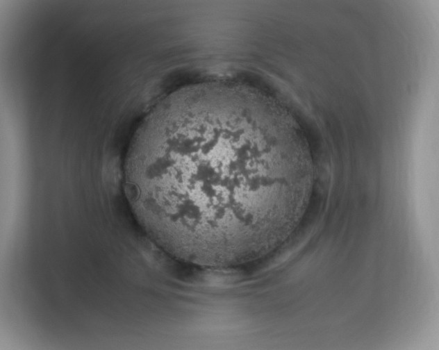 X0000113310707200909281124