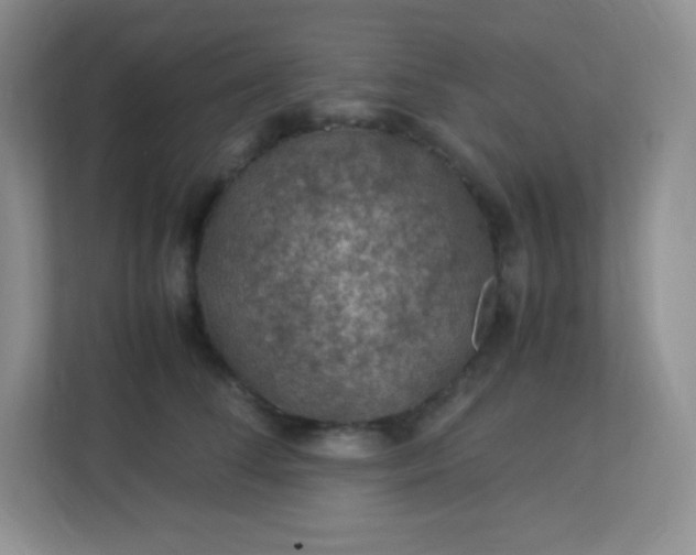 X0000113310708200909281124