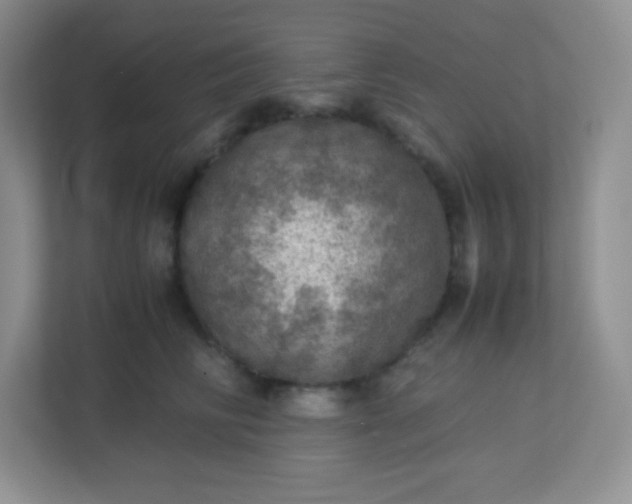 X0000113310710200909281124