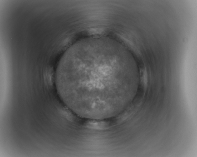 X0000113310712200909281124