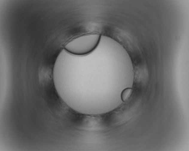 X0000113310713200909281124