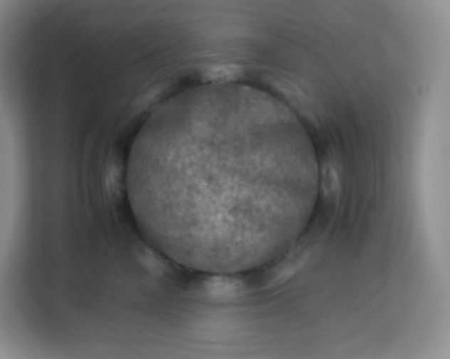 X0000113310714200909281124