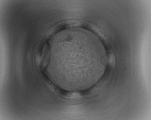 X0000113310715200909281124