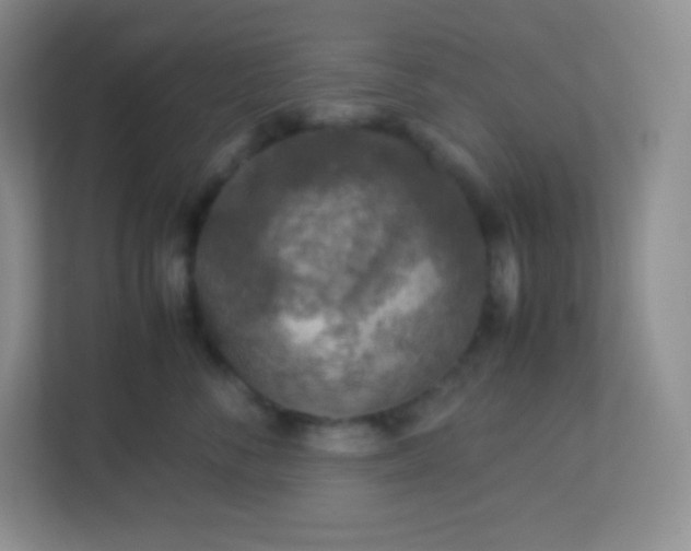 X0000113310716200909281124