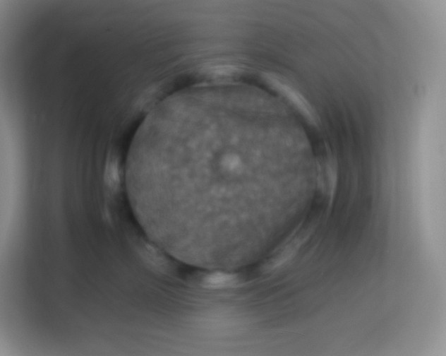 X0000113310718200909281124