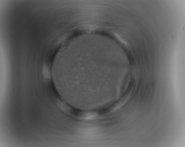 X0000113310719200909281124