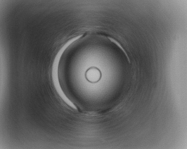 X0000113310720200909281124