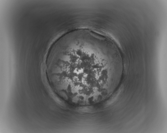 X0000113310721200909281124