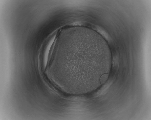 X0000113310722200909281124