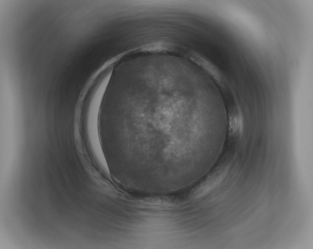 X0000113310724200909281124