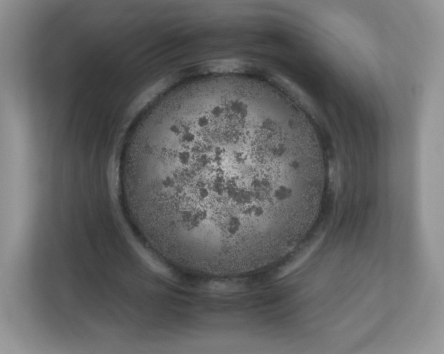 X0000113310725200909281124