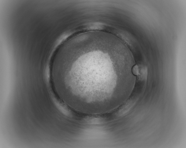 X0000113310726200909281124