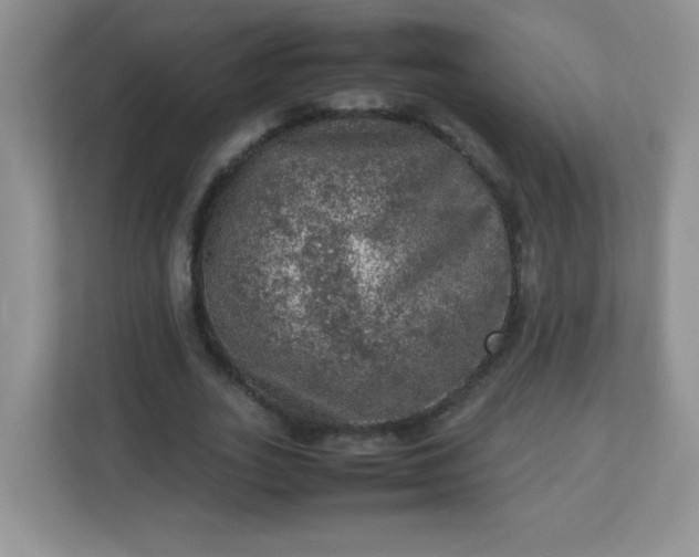 X0000113310727200909281124