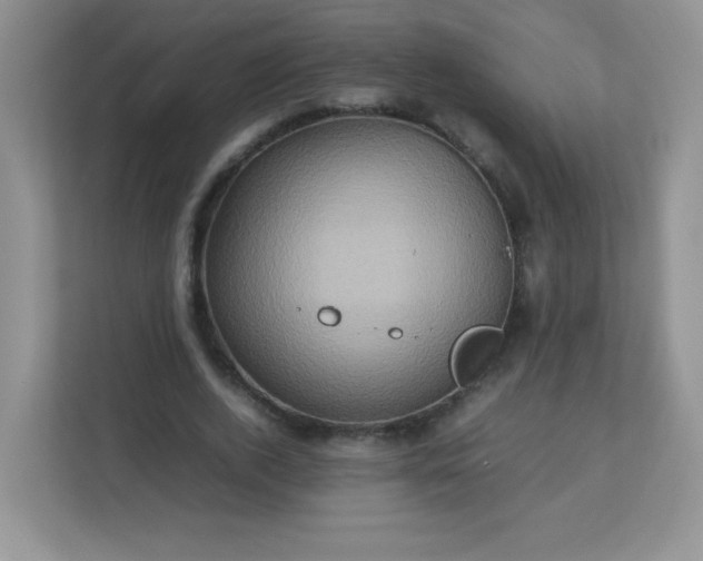 X0000113310728200909281124