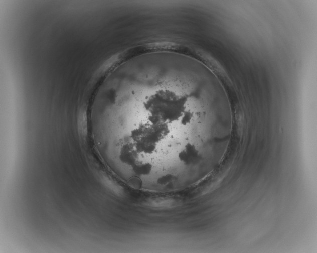 X0000113310729200909281124