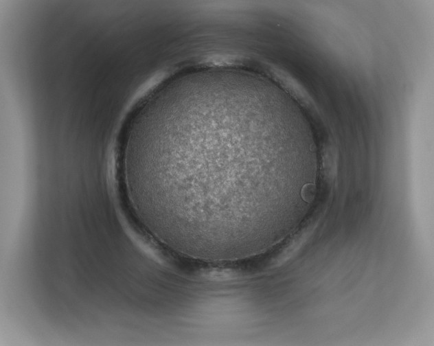 X0000113310730200909281124