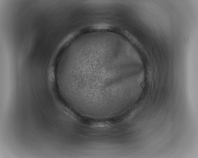 X0000113310731200909281124