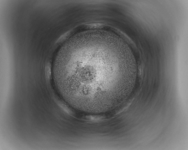 X0000113310733200909281124